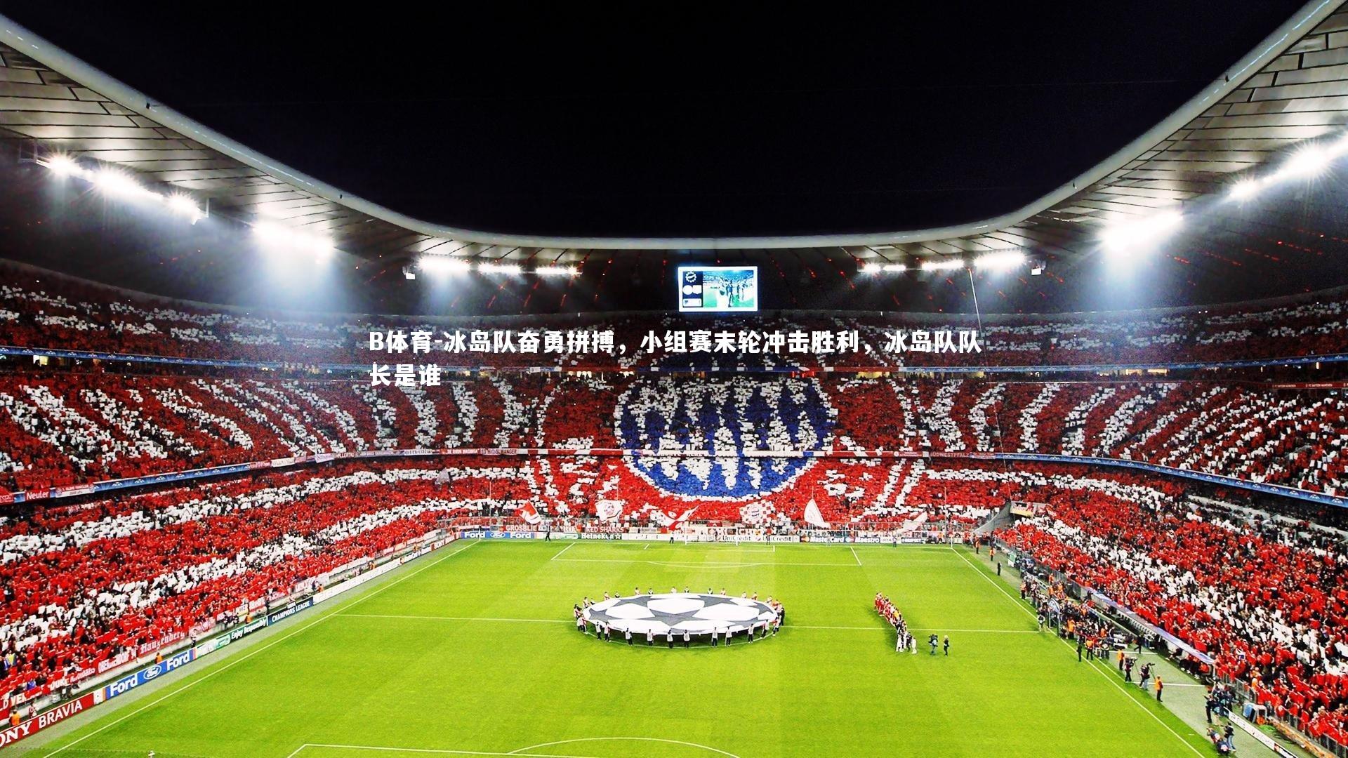 冰岛队奋勇拼搏，小组赛末轮冲击胜利，冰岛队队长是谁